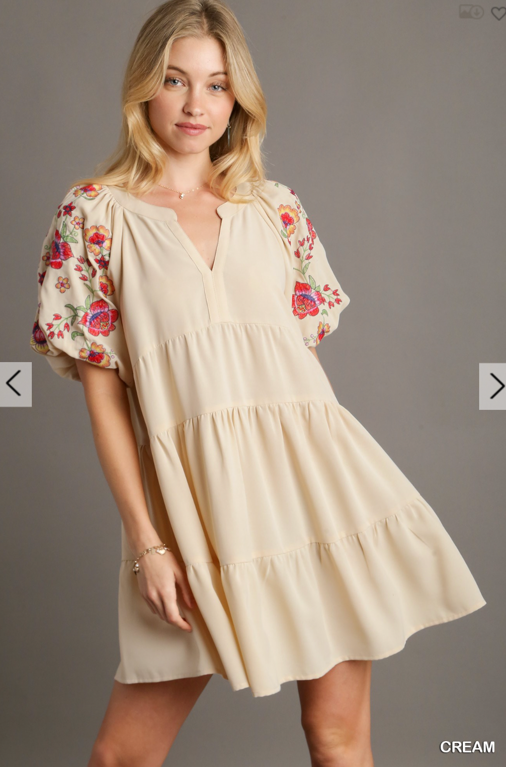 Rogan Embroidered Sleeve Dress