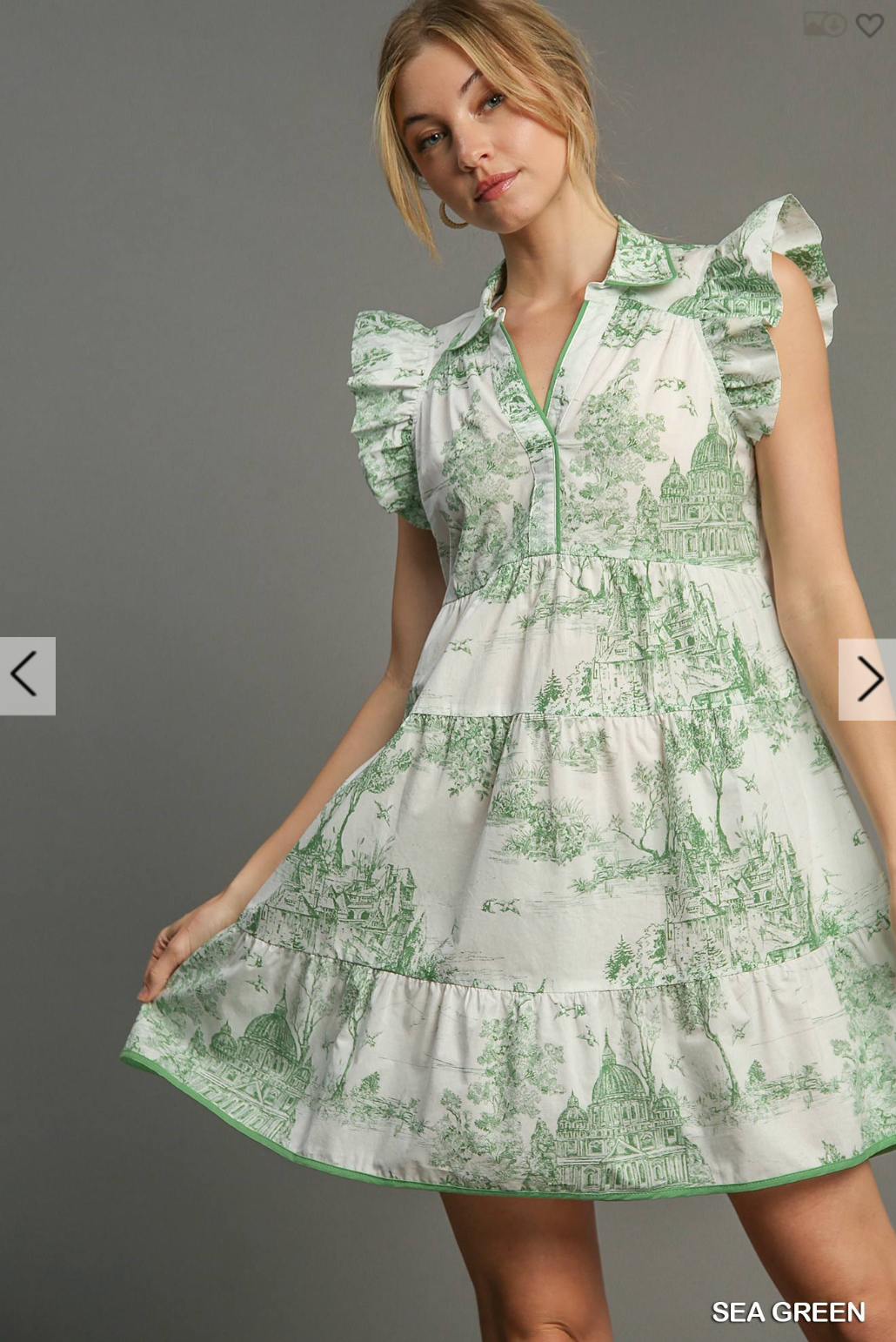 Holden Toile Dress In Sea Green