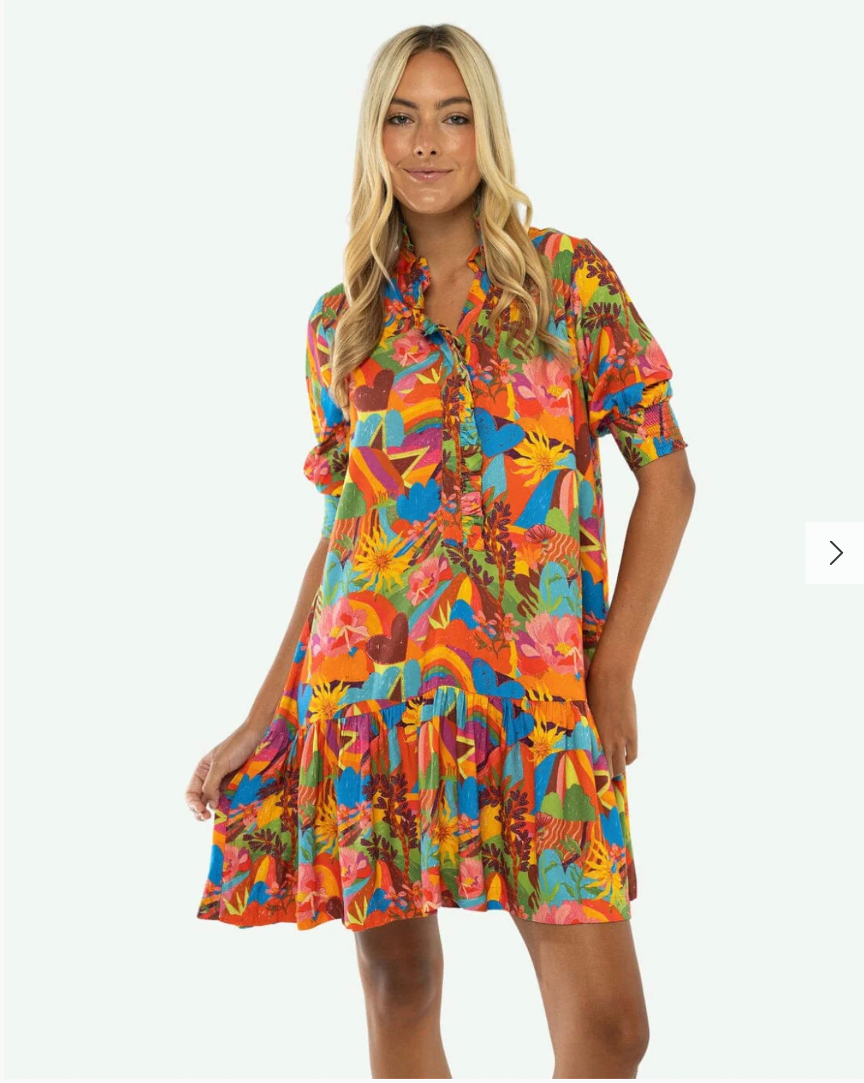 The Gracie Mini Dress