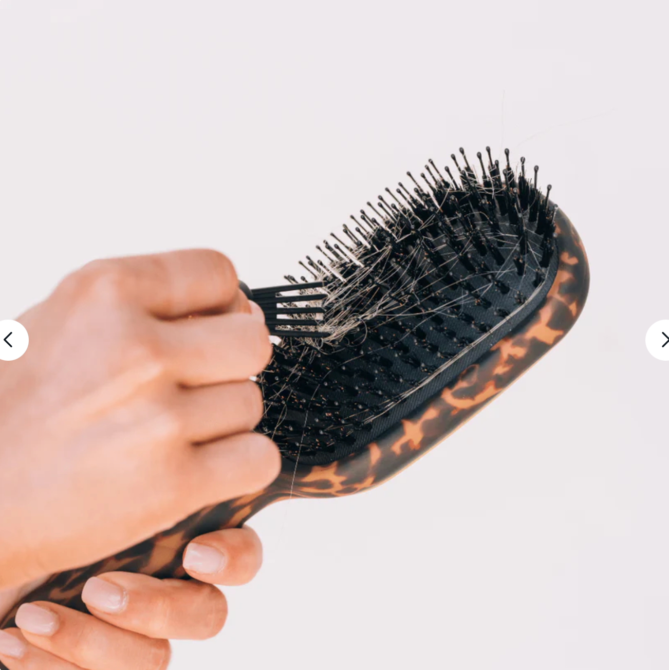 Boar Bristle Hair Brush In Tortoise